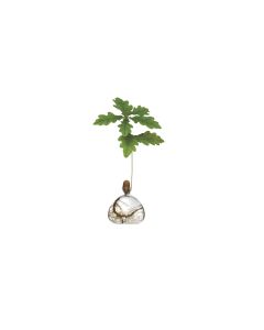 Agern Vase